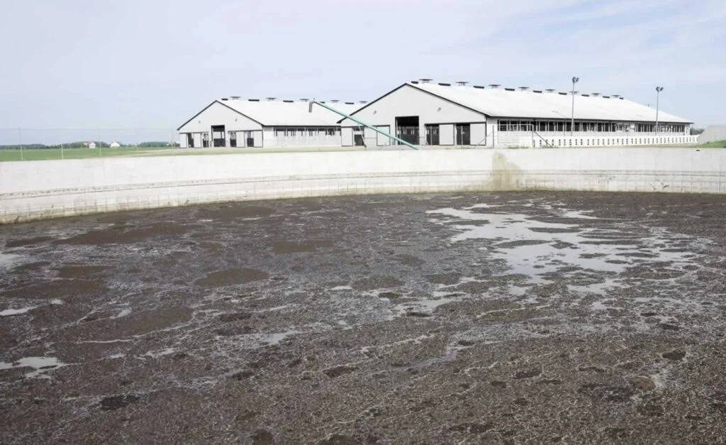 Steinbach Hog Farm Steinbach Hog Farm