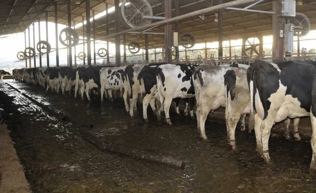 University of Alberta University of Alberta