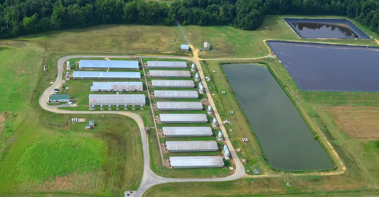 lagoon odor control solutions lagoon odor control solutions